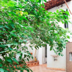 Apartamento à venda com 3 quartos em Santana, São Paulo, SP