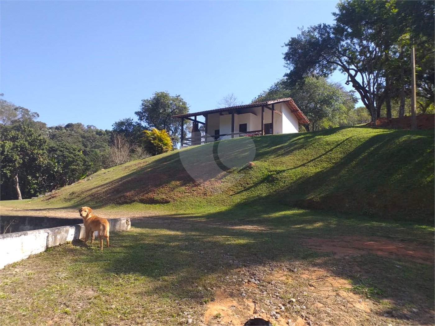 Sítio à venda com 4 quartos, sendo 1 suíte,  em Cruz das Almas, Biritiba-mirim, SP