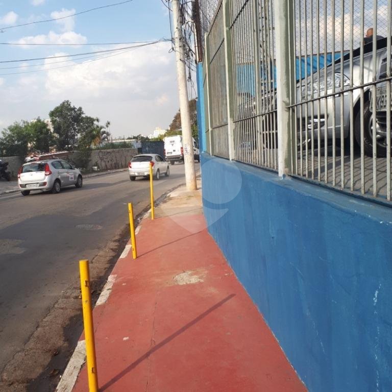 Terreno para alugar em Tucuruvi, São Paulo, SP