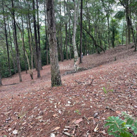 Terreno à venda no Condomínio Rancho Maringá II – Portão, Atibaia/SP | 1.600 m² em meio à natureza