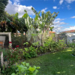Casa à venda com 2 quartos, sendo 1 suíte, no Centro, Sarapuí, SP