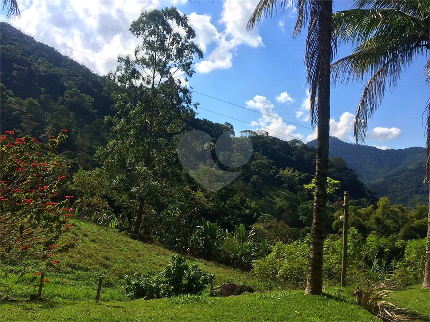 Fazenda à venda com 7 quartos, sendo 3 suítes, em Professor Souza, Casimiro de Abreu, RJ