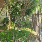 Sobrado à venda ou para alugar com 3 quartos, sendo 1 suíte, em Santana, São Paulo, SP