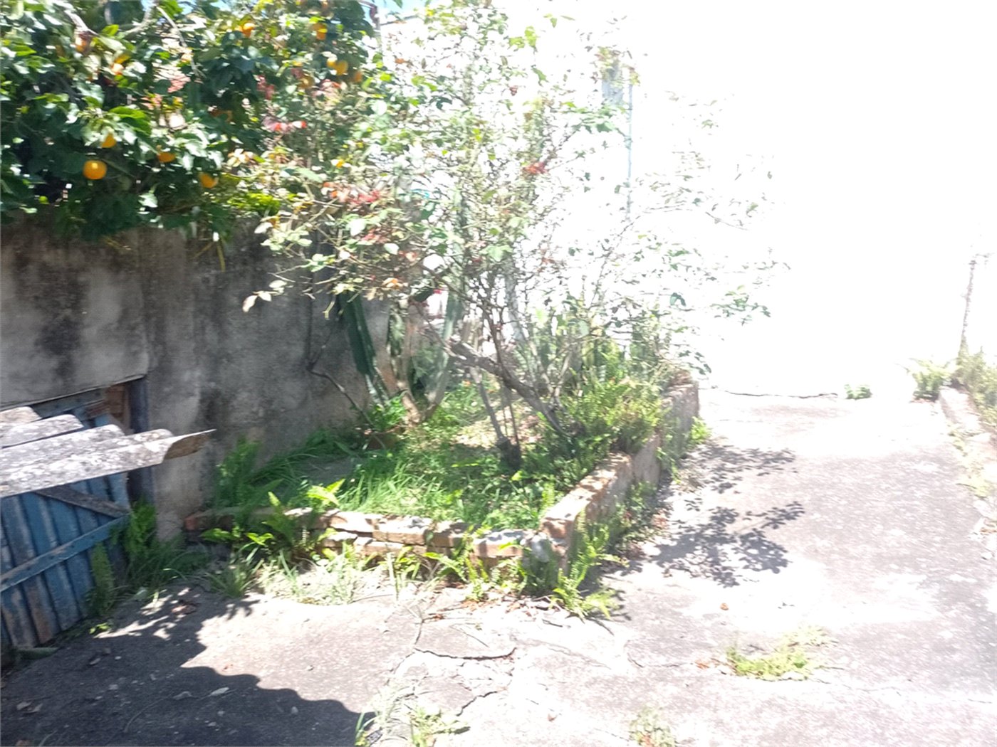 Sobrado à venda com 3 quartos, sendo 1 suíte, em Chácara Inglesa (zona Norte), São Paulo, SP