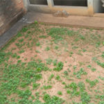 Casa à venda com 3 quartos, sendo 2 suítes,  em Jardim Franca, São Paulo, SP