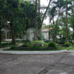 Apartamento à venda com 3 quartos em Tucuruvi, São Paulo, SP
