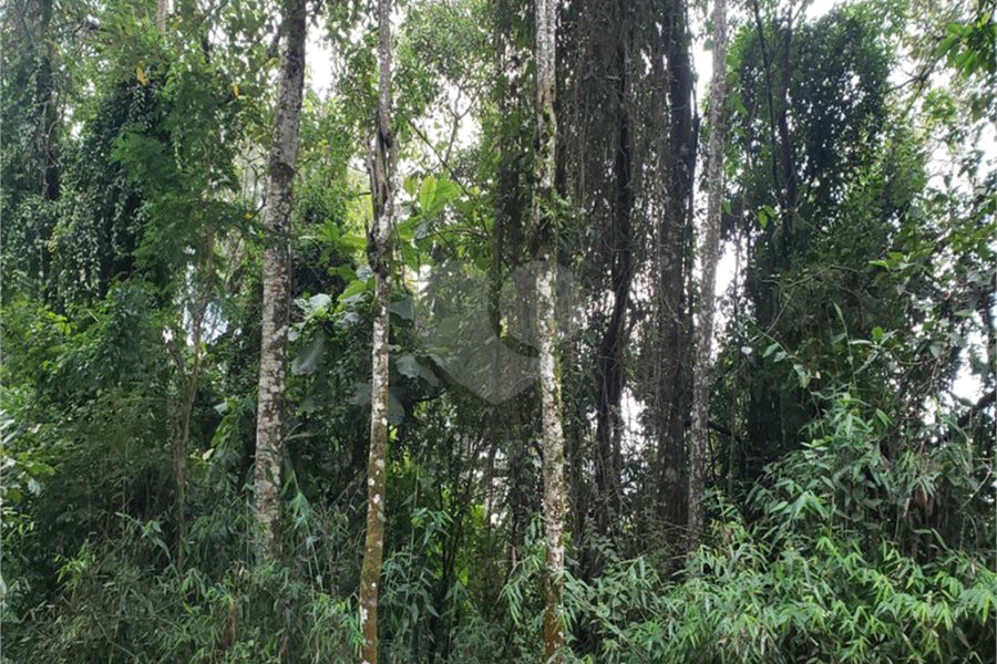 Terreno à venda em Serra da Cantareira, Mairiporã, SP