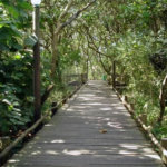 Terreno à venda em Guarapiranga, São Paulo, SP