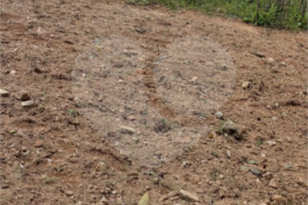 Terreno à venda em Água Branca, São Paulo, SP