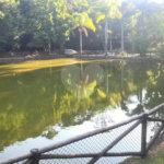 Terreno à venda no condomínio Parque Imperial da Cantareira, Mairiporã - SP
