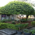 Apartamento à venda com 2 quartos em Vila Nova Cachoeirinha, São Paulo, SP