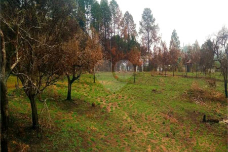 Fazenda à venda com 2 quartos em City Castello, Itu, SP