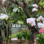 Apartamento Residencial à venda, Barra Funda, Guarujá - AP0179.