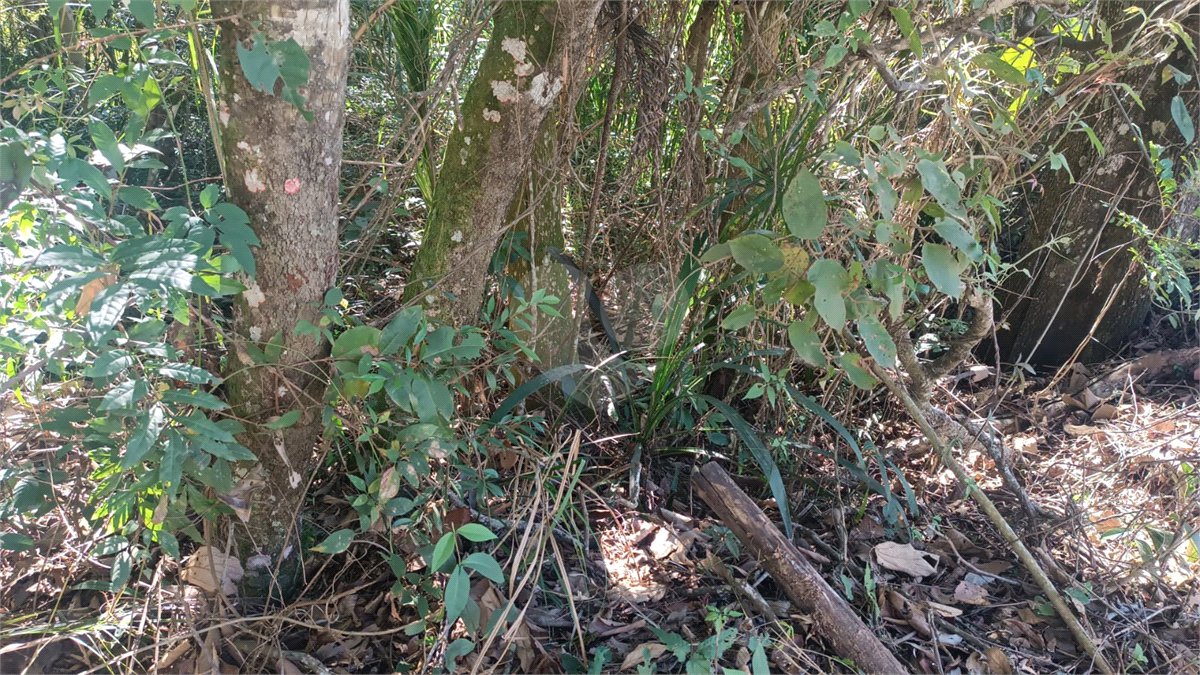 Terreno à venda no condomínio Sausalito, Mairiporã - SP