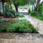 Sobrado à venda com 3 quartos, sendo 1 suíte, em Vila Nova Mazzei, São Paulo, SP