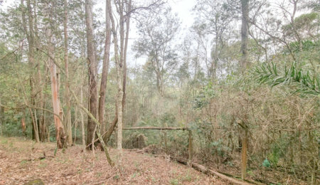 Terreno à venda no condomínio Vale da Santa Fé, Vinhedo - SP