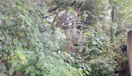 Terreno à venda em Jardim Maristela, Atibaia, SP