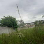 Terreno à venda em Jardim Paulista, Atibaia, SP