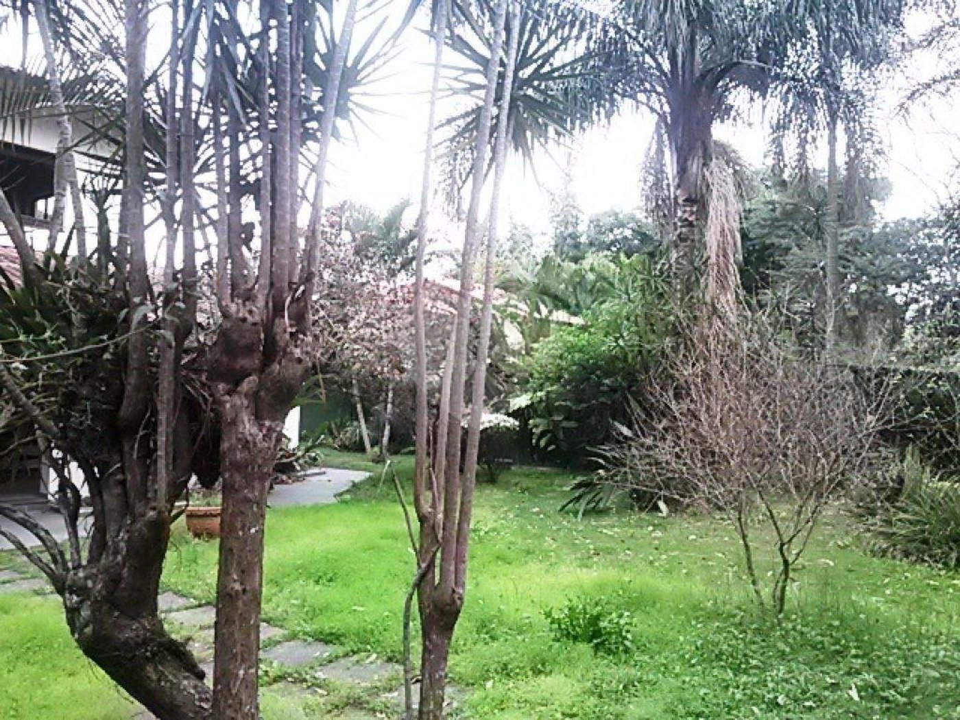 Casa à venda ou para alugar com 5 quartos, sendo 3 suítes, em Mandaqui, São Paulo, SP