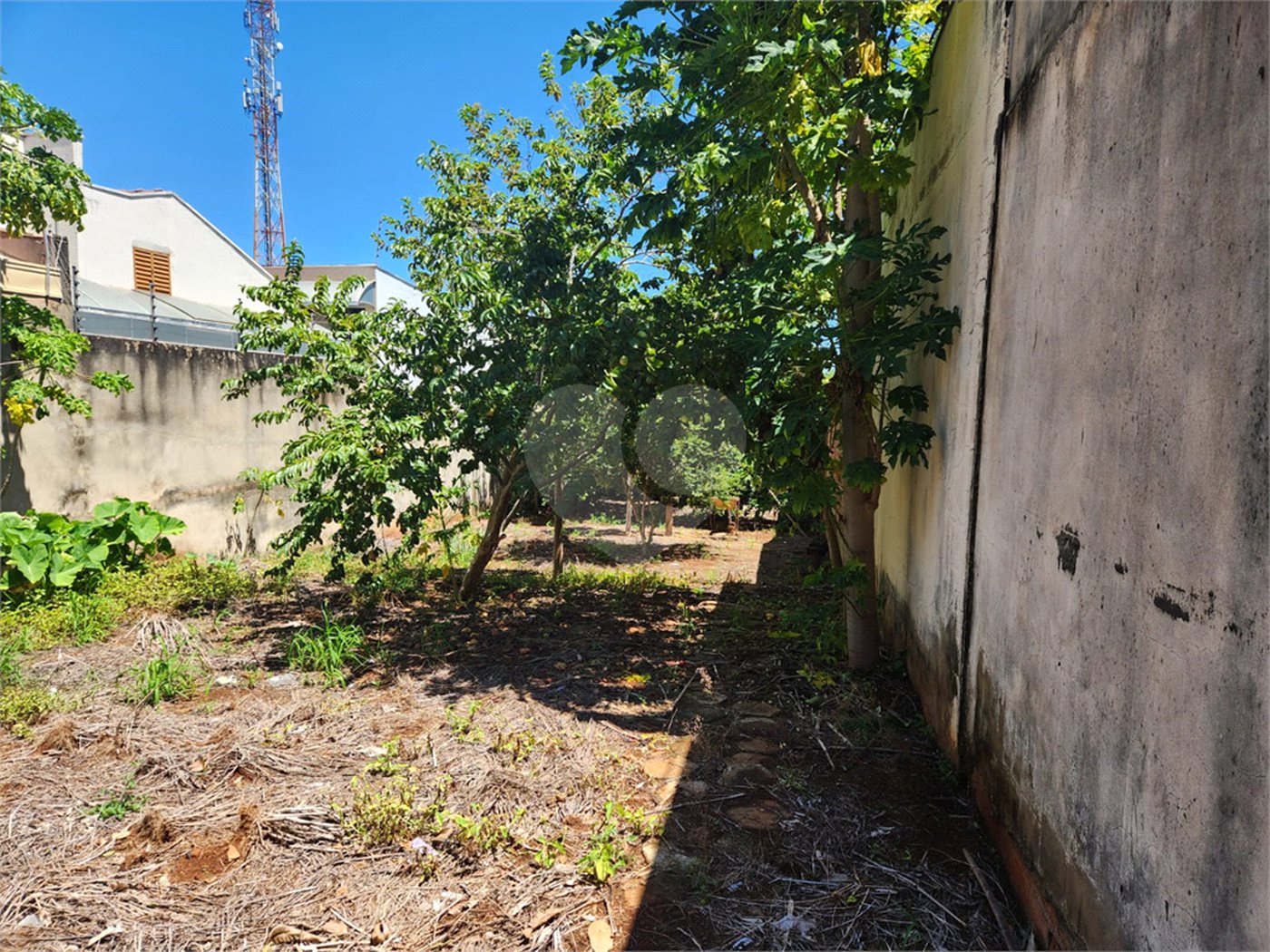 Terreno à venda em Vila Harmonia, Araraquara, SP
