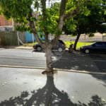 Imóvel Comercial na Rua Episcopal – Localização Estratégica em São Carlos