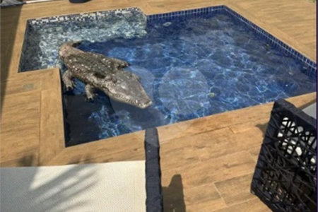 Casa Damha I, com 3 quartos e piscina privativa.