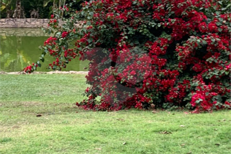 Sítio à venda ou para alugar com 3 suítes em Parque Residencial Indaiá, Indaiatuba, SP