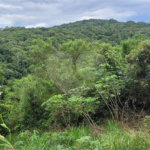 Terreno à venda em Serra da Cantareira, Mairiporã, SP