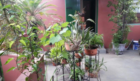 Sobrado à venda com 1 quarto em Chácara Santo Antônio (zona Sul), São Paulo, SP