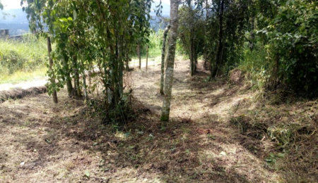 Terreno à venda no condomínio Sausalito, Mairiporã - SP