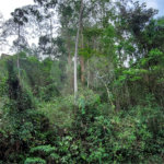 Terreno à venda no condomínio Sausalito, Mairiporã - SP