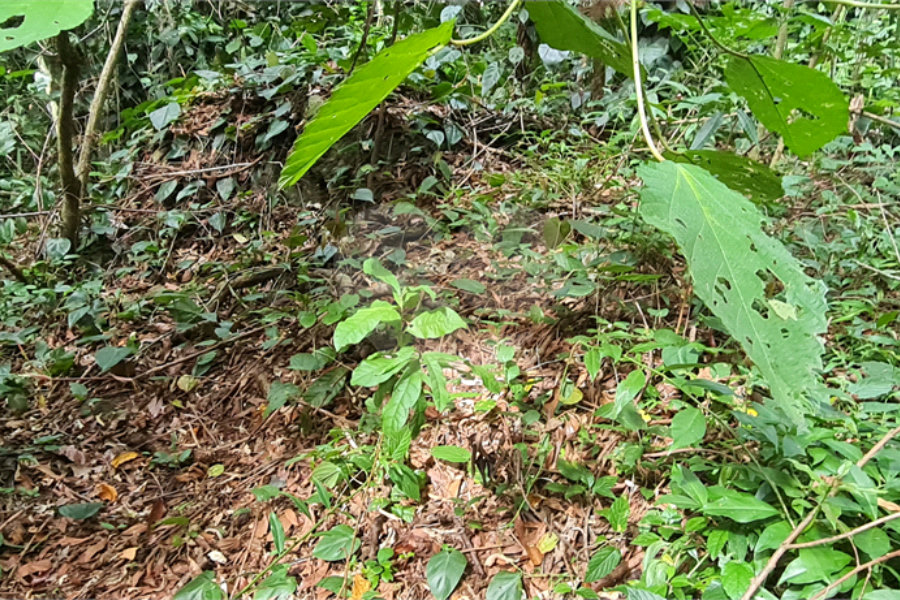 Terreno à venda em Caraguatá, Mairiporã, SP