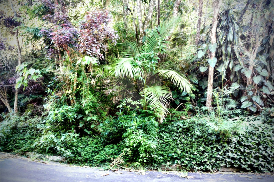Terreno à venda em Serra da Cantareira, Mairiporã, SP