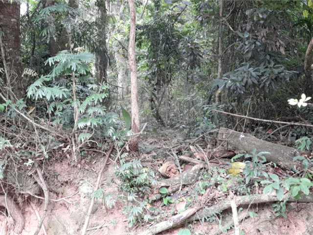 Terreno à venda em Roseira, Mairiporã, SP