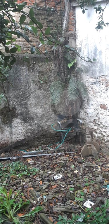 Sobrado à venda com 3 quartos em Vila Guilherme, São Paulo, SP