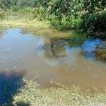 Sítio à venda com 2 quartos em Área Rural de Lagoinha, Lagoinha, SP