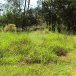 Chácara à venda com 1 quarto em Cruz das Almas, Biritiba-mirim, SP