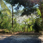 Terreno à venda em Caraguatá, Mairiporã, SP