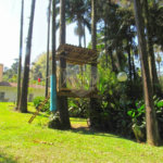 Casa à venda com 4 suítes no condomínio Chácara Flora, São Paulo - SP