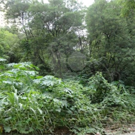 Terreno à venda em Vila Suzana, São Paulo, SP