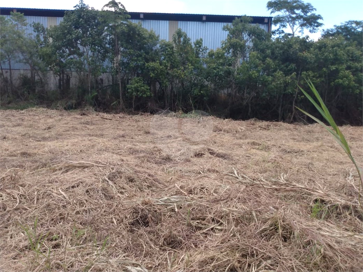 Terreno à venda em Cézar de Souza, Mogi das Cruzes, SP