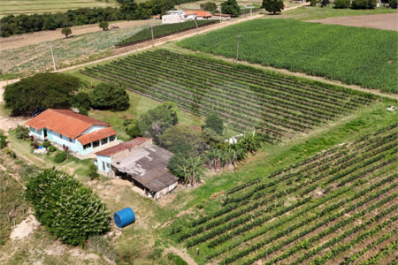 Sítio à venda com 2 quartos em Mirim, Indaiatuba, SP
