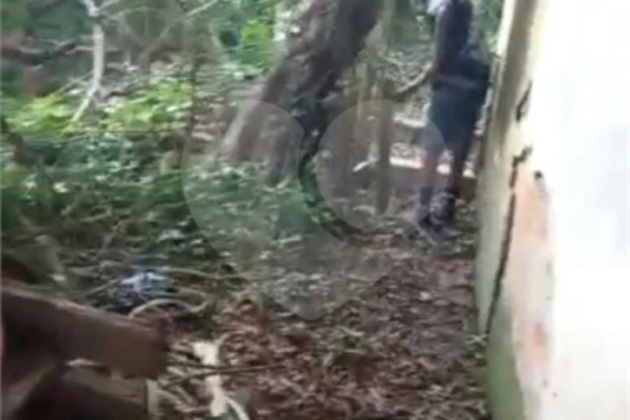 Terreno à venda com 1 quarto em Santa Teresinha, São Paulo, SP