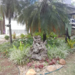 Casa à venda ou para alugar com 4 suítes em Chácaras São Carlos, Cotia, SP