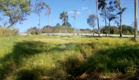 Terreno à venda em Parque Olimpico, Mogi das Cruzes, SP