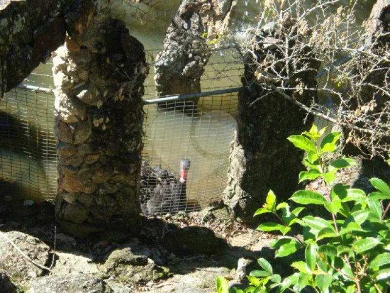 Sobrado à venda com 5 suítes em Juqueri Mirim, Mairiporã, SP