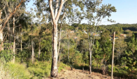 Terreno à venda em Caete (mailasqui), São Roque, SP