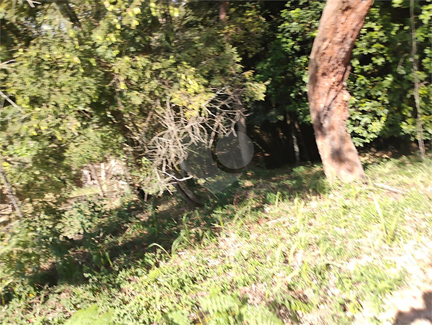 Terreno à venda em Loteamento Vale Azul I, Jundiaí, SP
