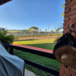 Chácara com 3 dormitórios à venda, 1200 m² por R$ 870.000,00 - Condomínio Ninho Verde II - Pardinho/SP