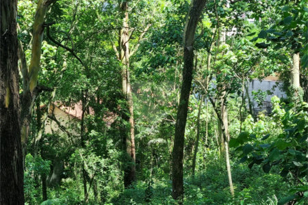 Terreno à venda no condomínio Horto do Ypê, São Paulo - SP